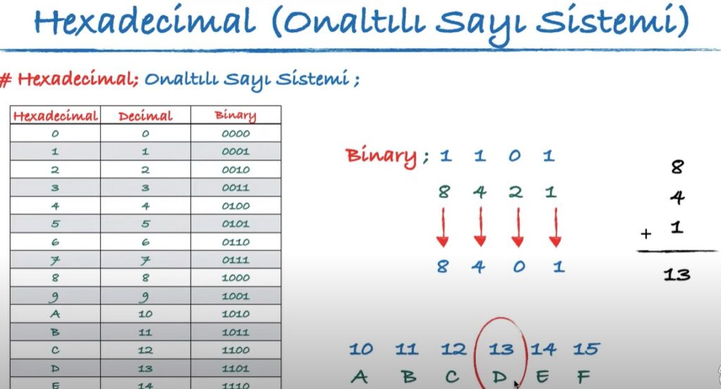 HEC Kodu Nedir Heksadesimal